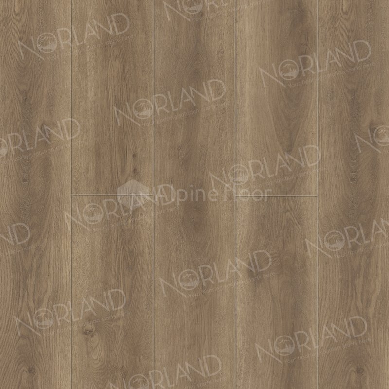 SPC Ламинат "Norland" Tista (1220*196*8 мм) — купить в Якутске