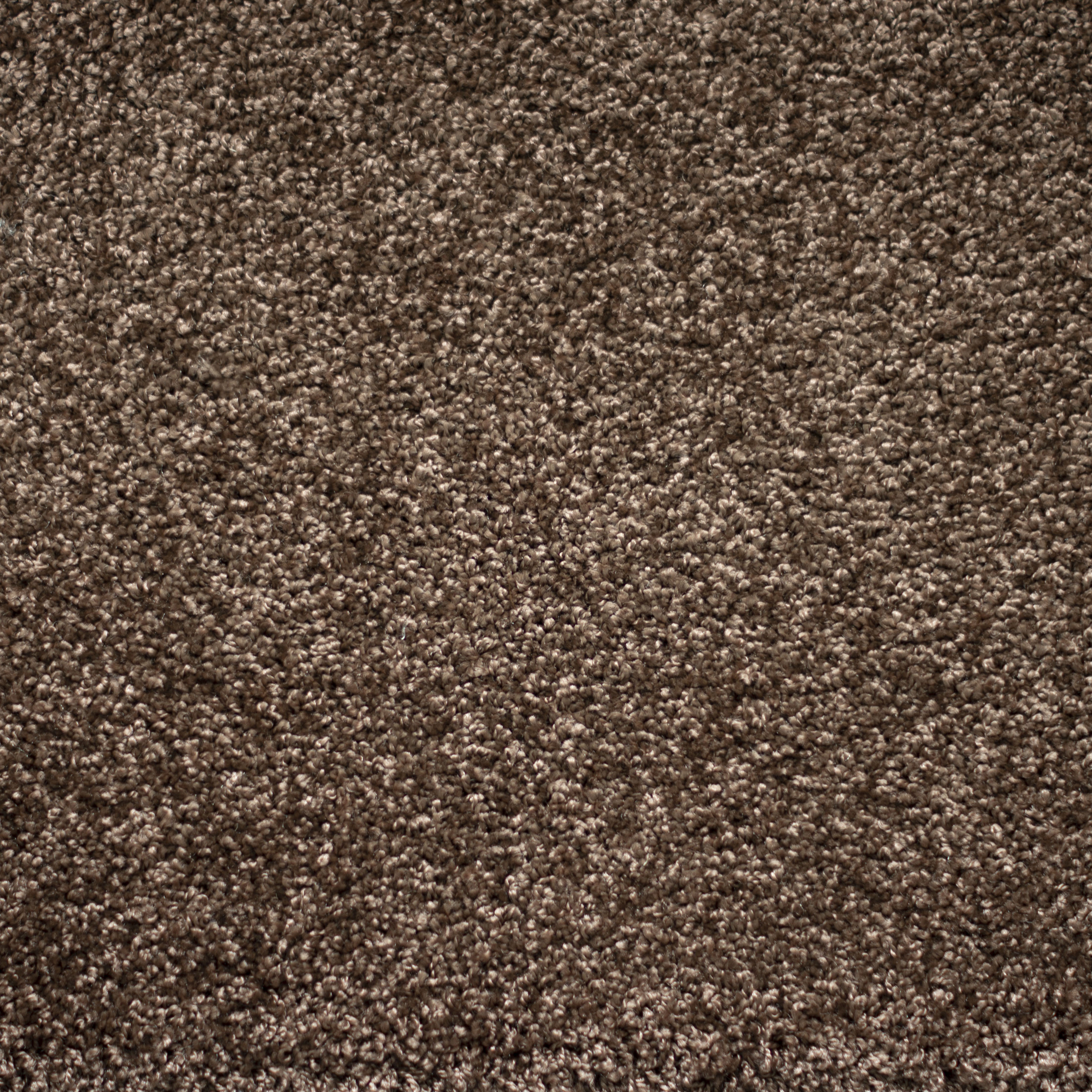 Ковролин "Зартекс" Tesoro 156 коричневый (4м) — купить в Якутске