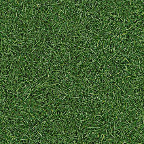 Линолеум бытовой "IVC" Neo Grass 25 (3м) — купить в Якутске
