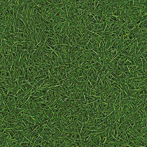 Линолеум бытовой "IVC" Bingo Grass 25 (3м) — купить в Якутске