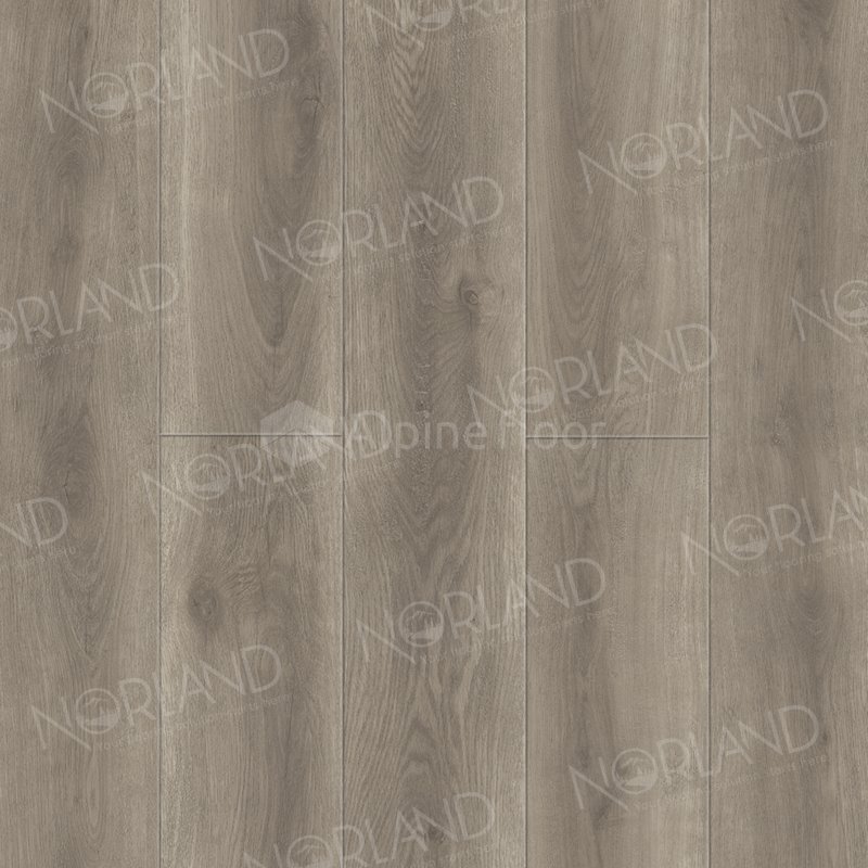 SPC Ламинат "Norland" Templet (1220*196*8 мм) — купить в Якутске