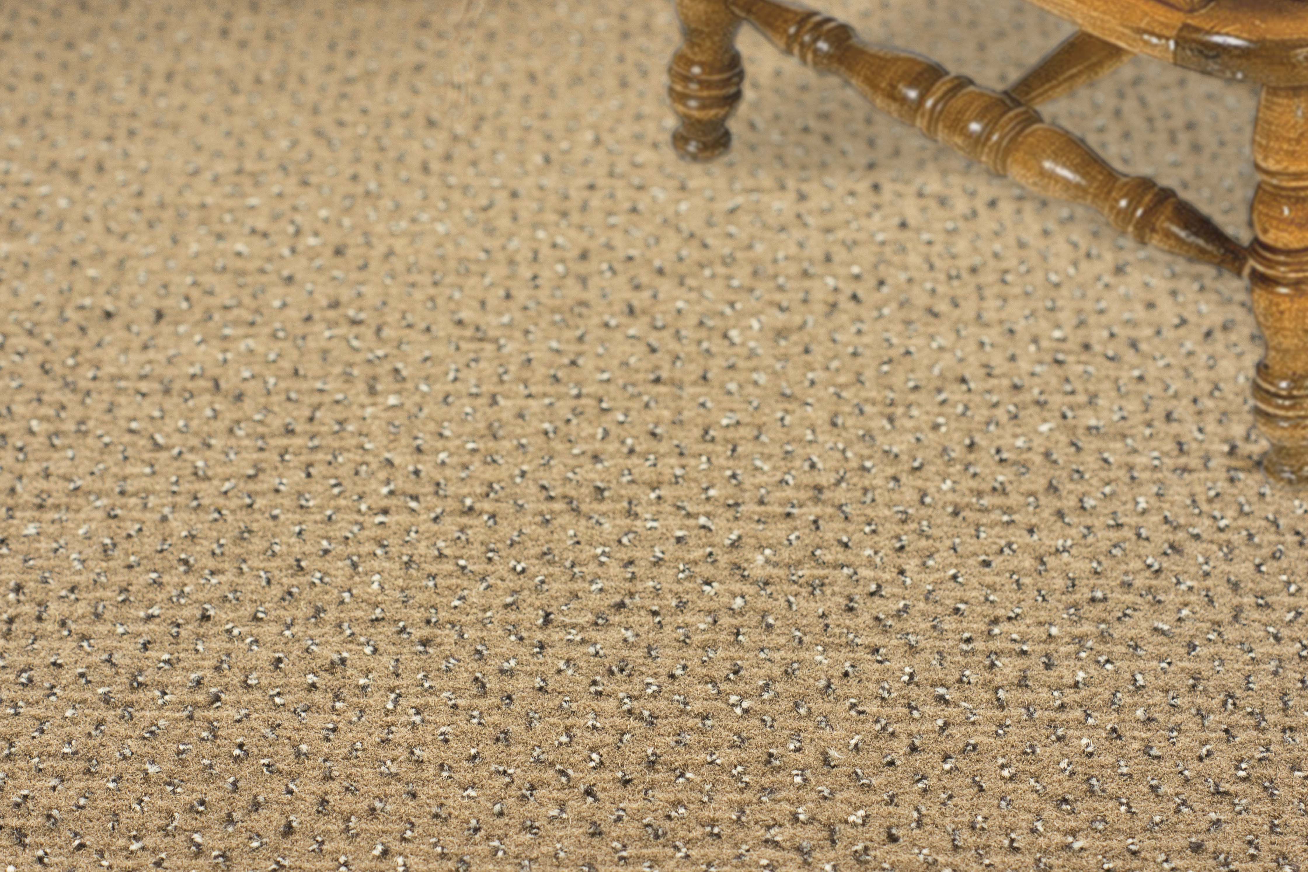 Ковролин "Зартекс" Eternity 142 бежевый (4м) — купить в Якутске