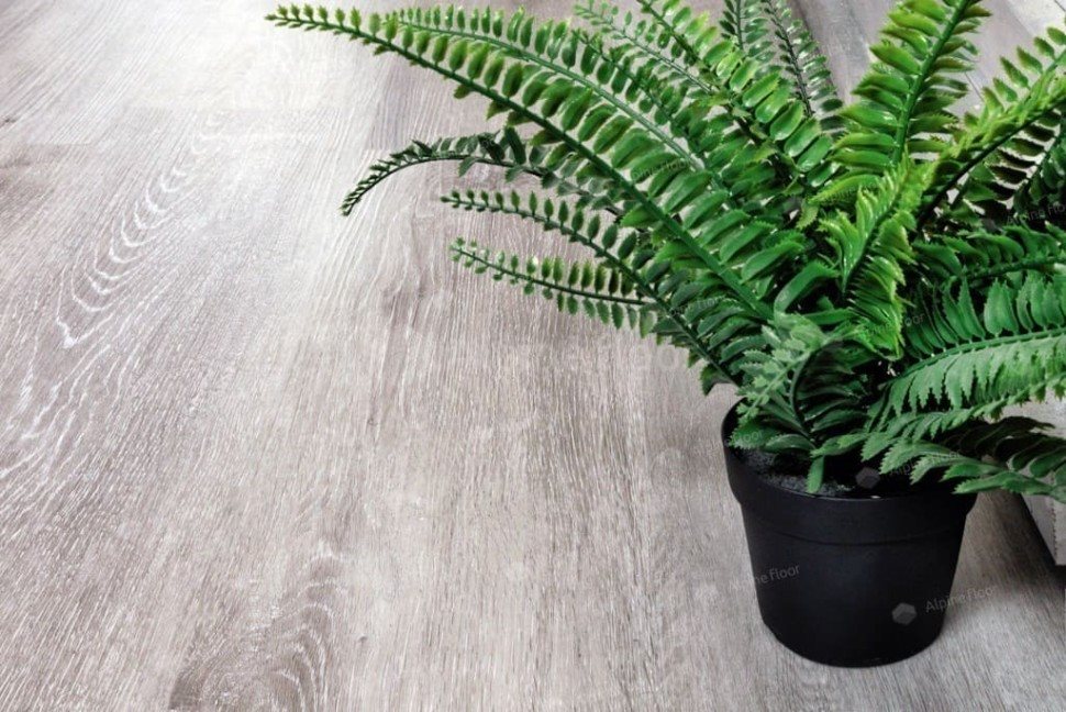 Виниловый ламинат "Alpine Floor" Classic Light MC Ясень Серый (1220*183*3,5 мм) — купить в Якутске